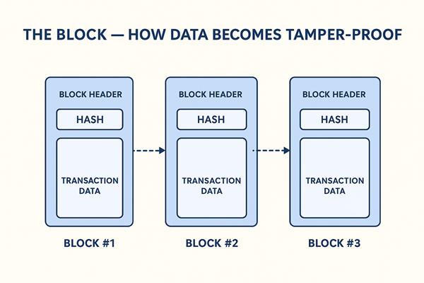 The Block — How Data Becomes Tamper-Proof
